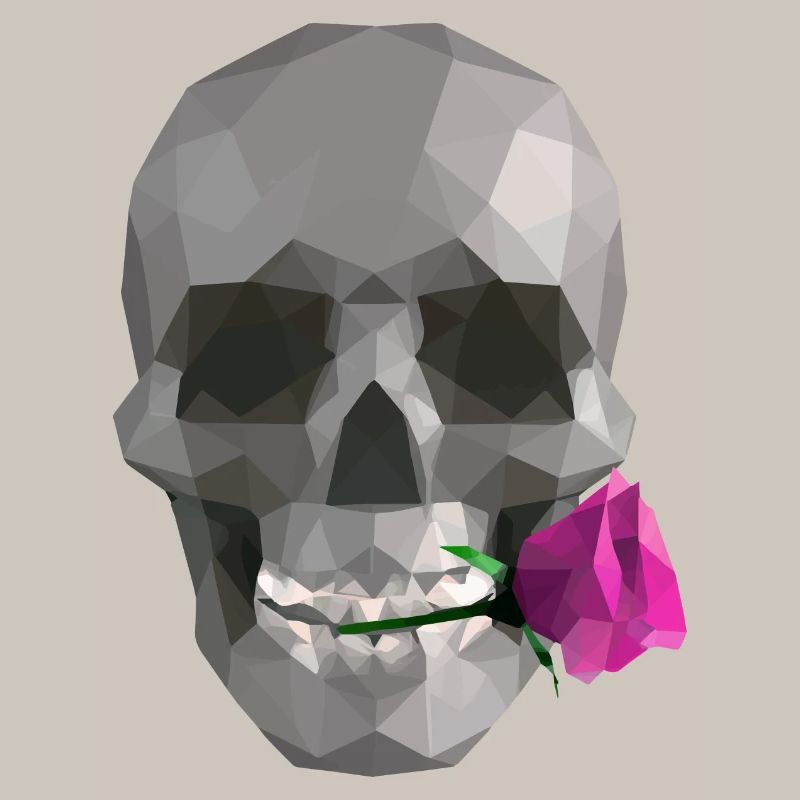 Low Poly Grey Skull - Geometric Romantic Gothic 