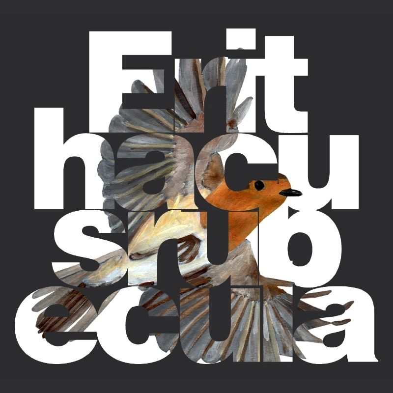 Erithacus rubecula - Robin