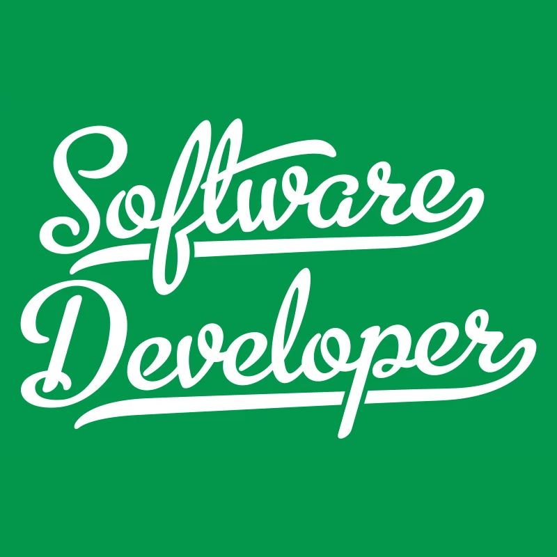 Software Developer