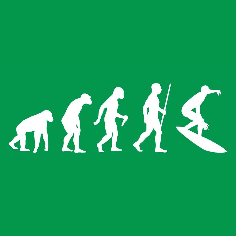 Surfer Evolution