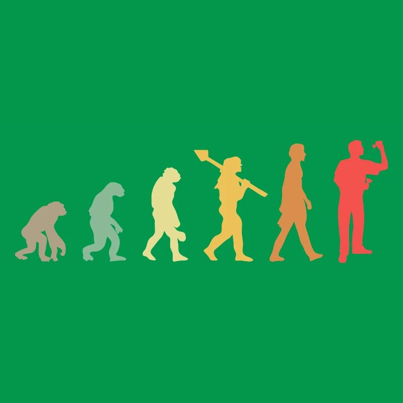 Fléchettes Evolution Lecteur de fléchettes