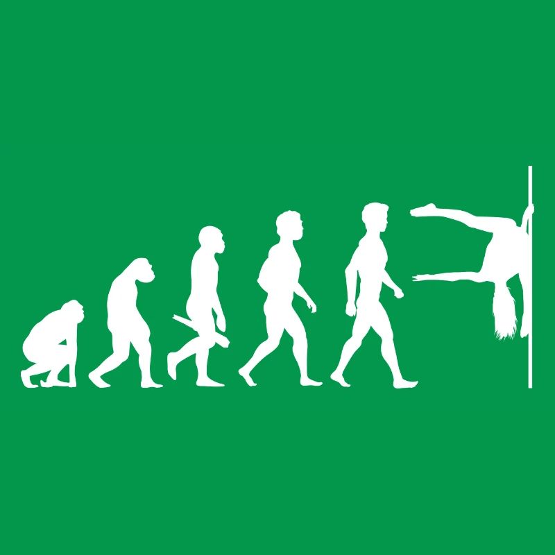 Evolution Poledance Pole Dancing Danse