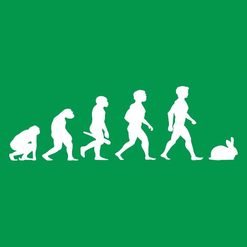 Evolution rabbit rabbits rabbit bunny rodents