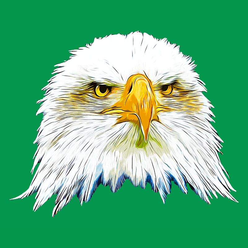 gxp eagle bald eagle vector art