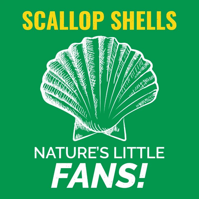 Scallop Seashells Collector Beachcomber Shellfish
