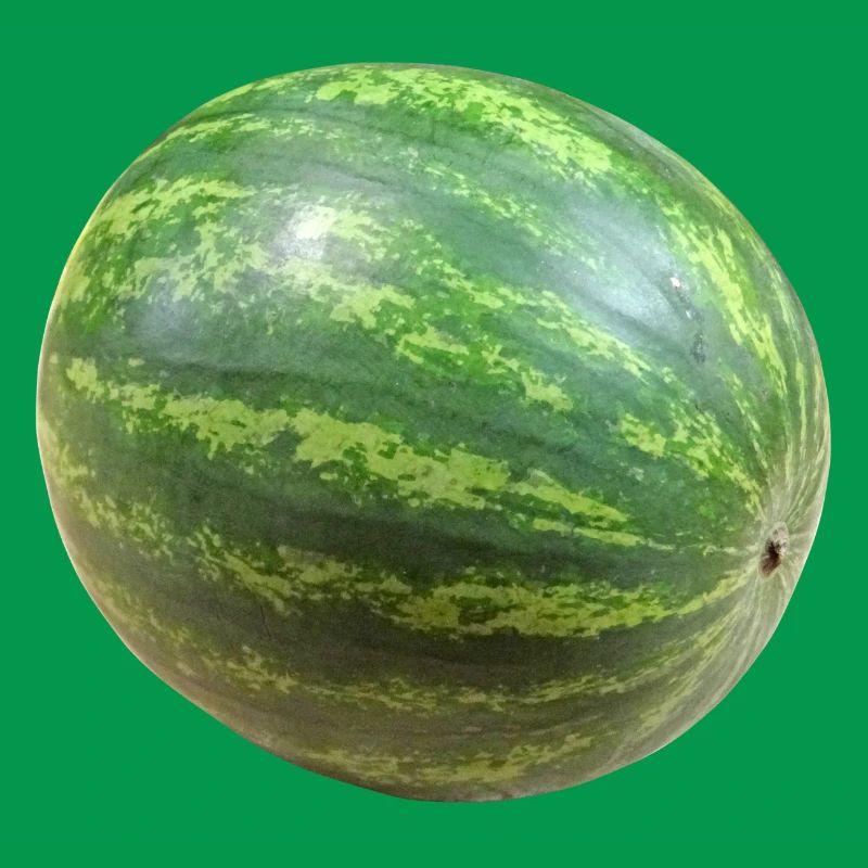 veggie pastèque pastèque melon melon gemues