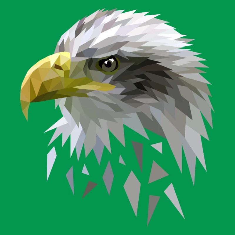 White-tailed eagle low poly polygons geometric