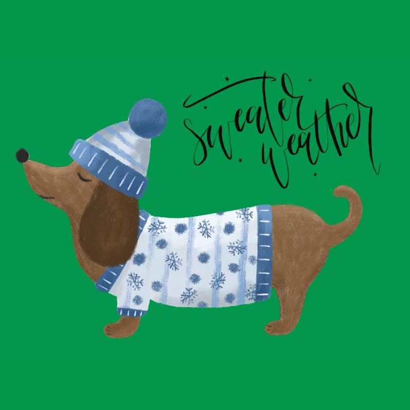 Teckel avec pull et chapeau Pull Météo bleu