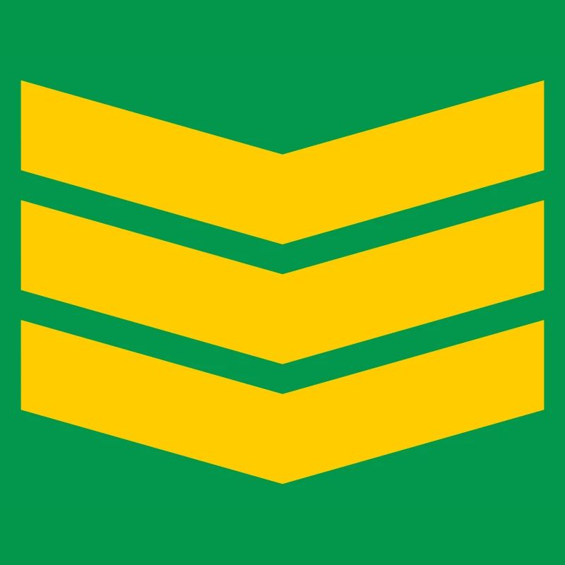 Chevron Stack Bold Pattern