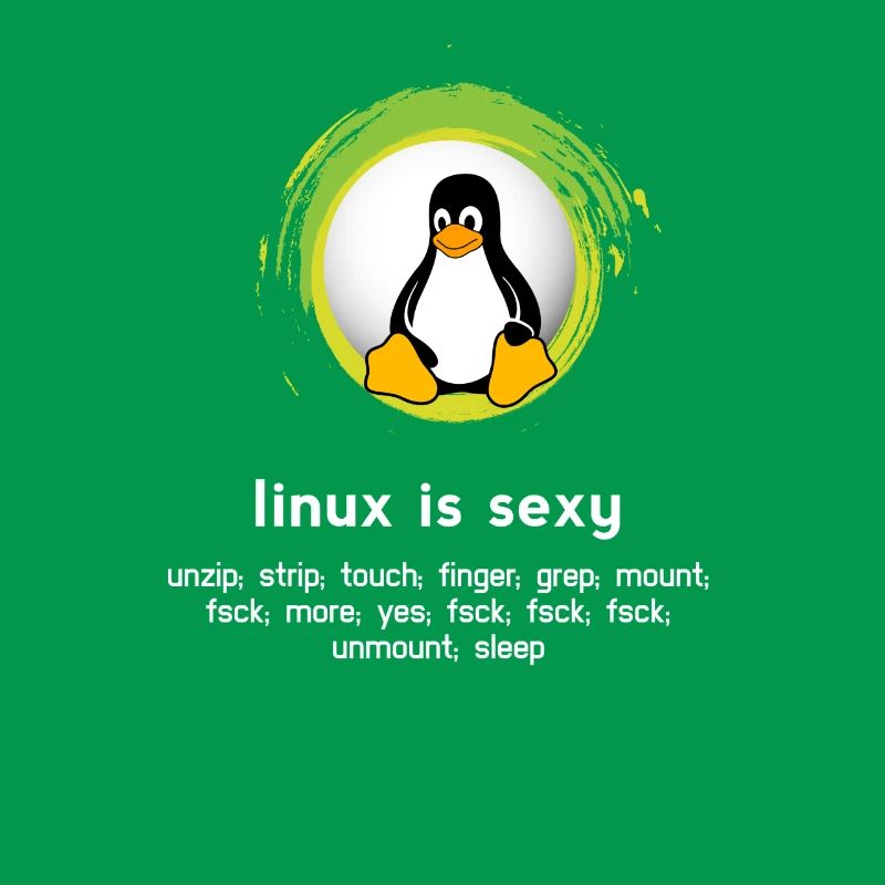 Computer System Pinguin Nerd pc inside code admin