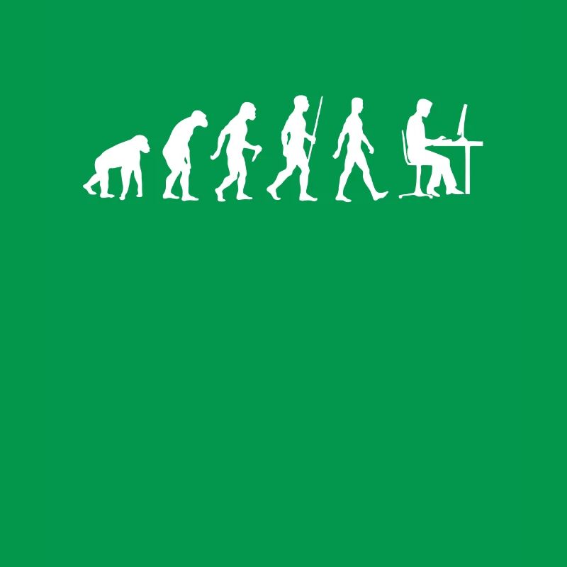 Les programmeurs Evolution développeur informatique