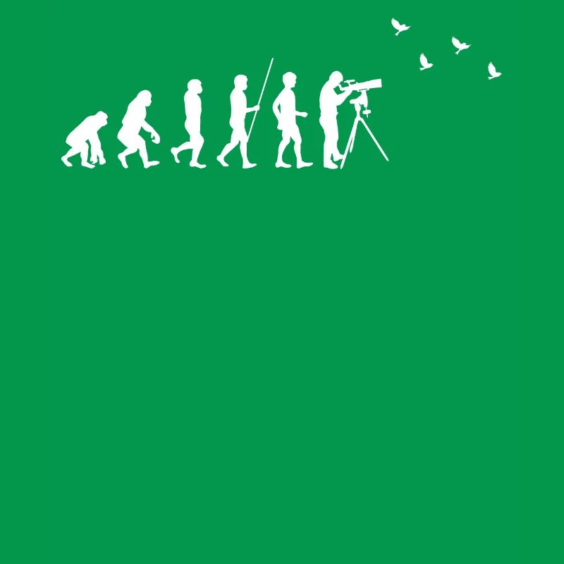 Birdwatching - Birdwatching - Evolution - fun