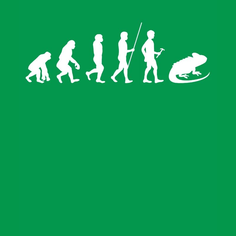 Reptile - Iguana - Iguana Owners - Evolution