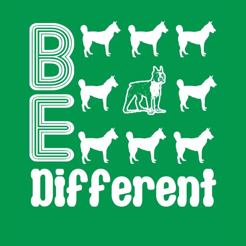 Boston Terrier Boston Terrier Be Different