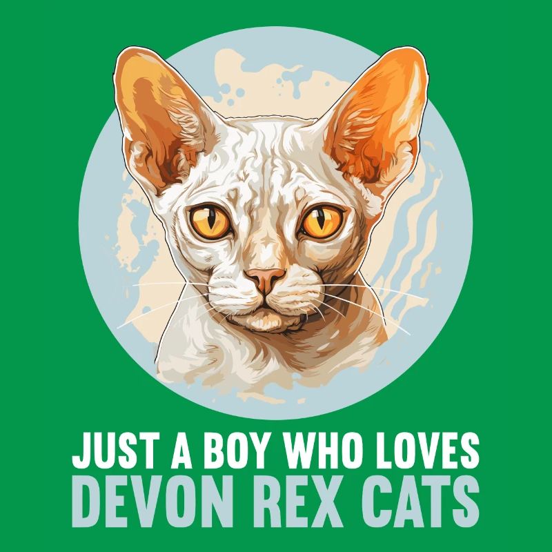 Chaton Devon Rex Chat Devon Rex