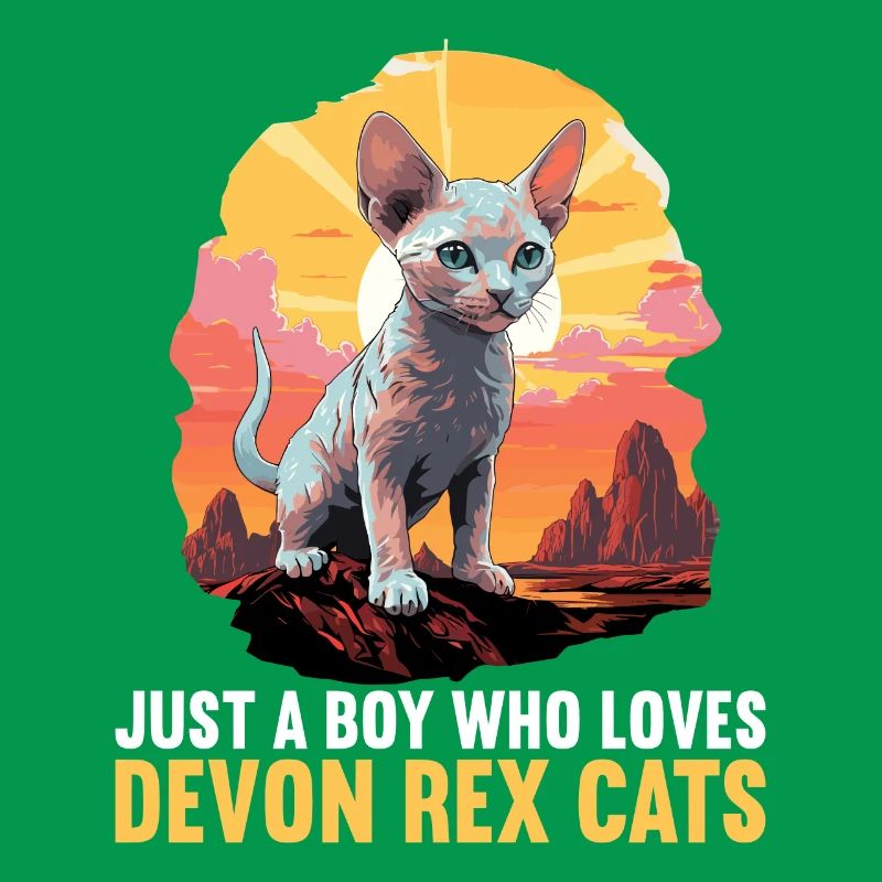 Chaton Devon Rex Chat Devon Rex