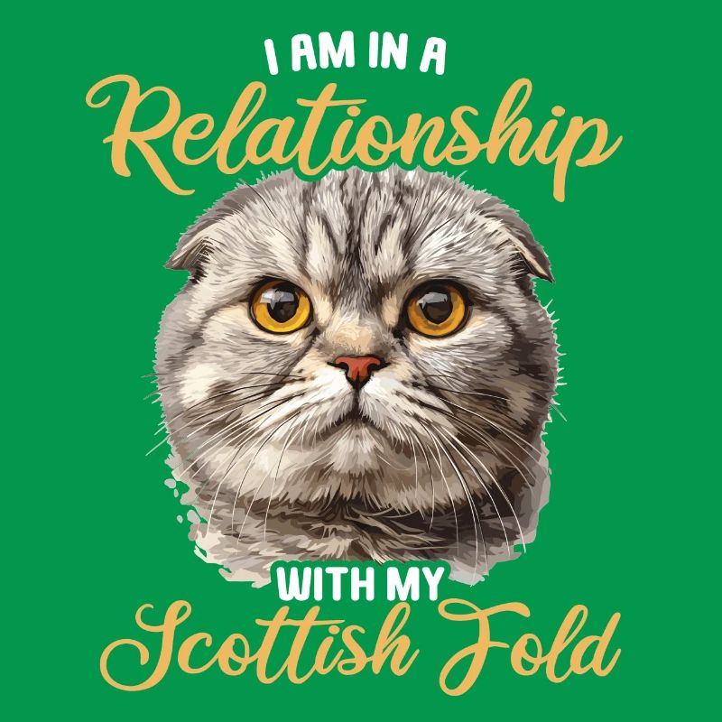 Scottish Fold Kitten Scottish Fold Cat