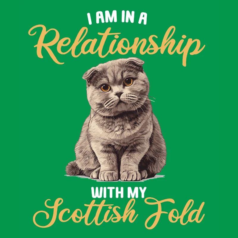 Scottish Fold Kitten Scottish Fold Cat