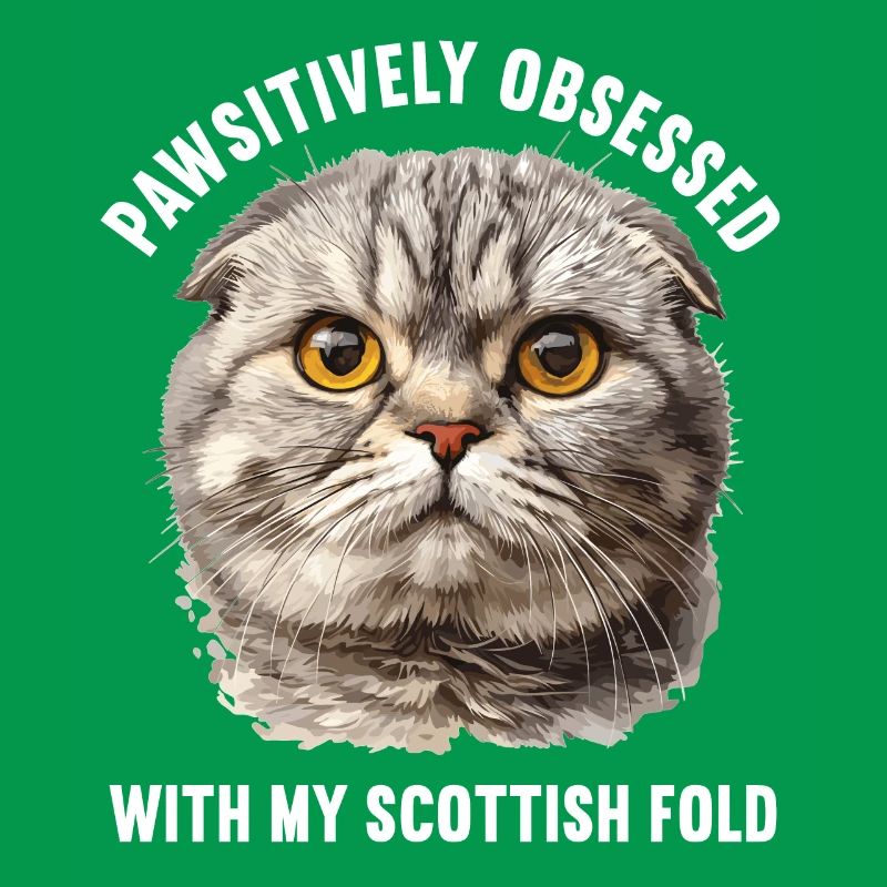 Scottish Fold Kitten Scottish Fold Cat