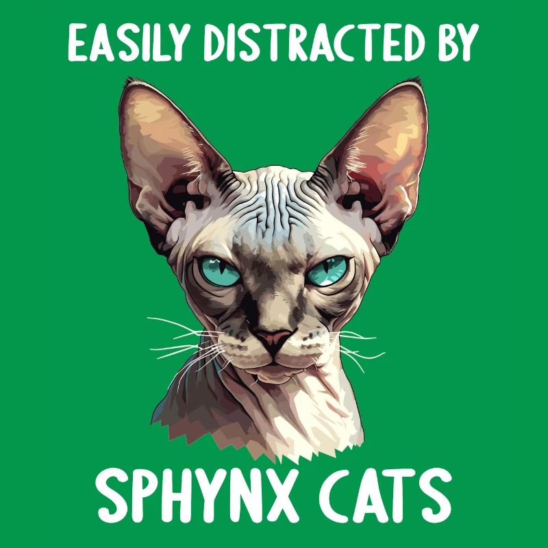 Sphynx Kitten Sphynx Cat