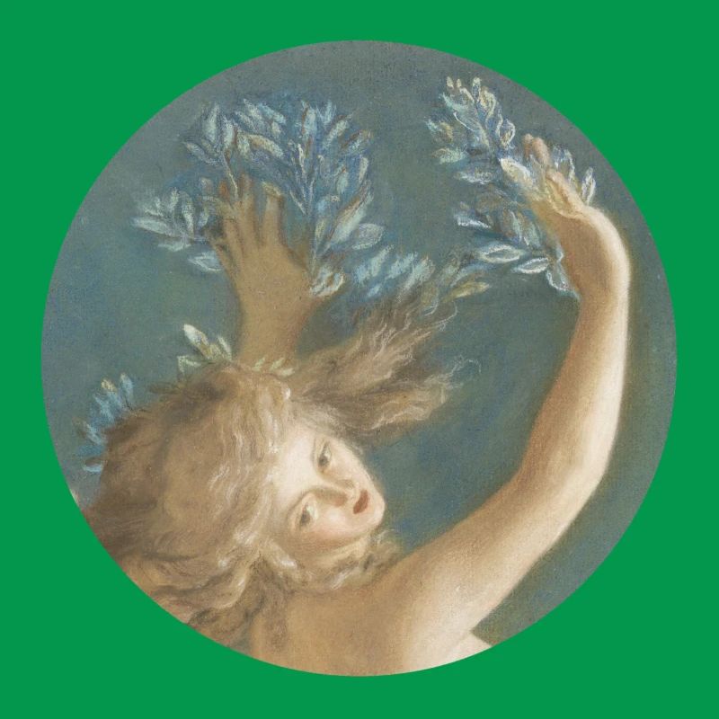 Daphne wird zu einem Lorbeerbaum