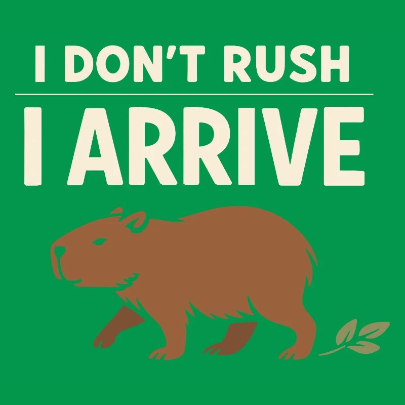 Cute Capybara Stress Reliever, No Stress,