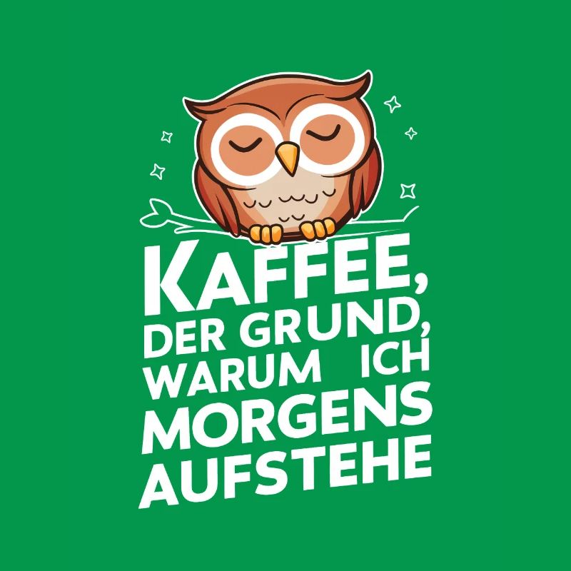 Nachteule Eule Eulen Vogel