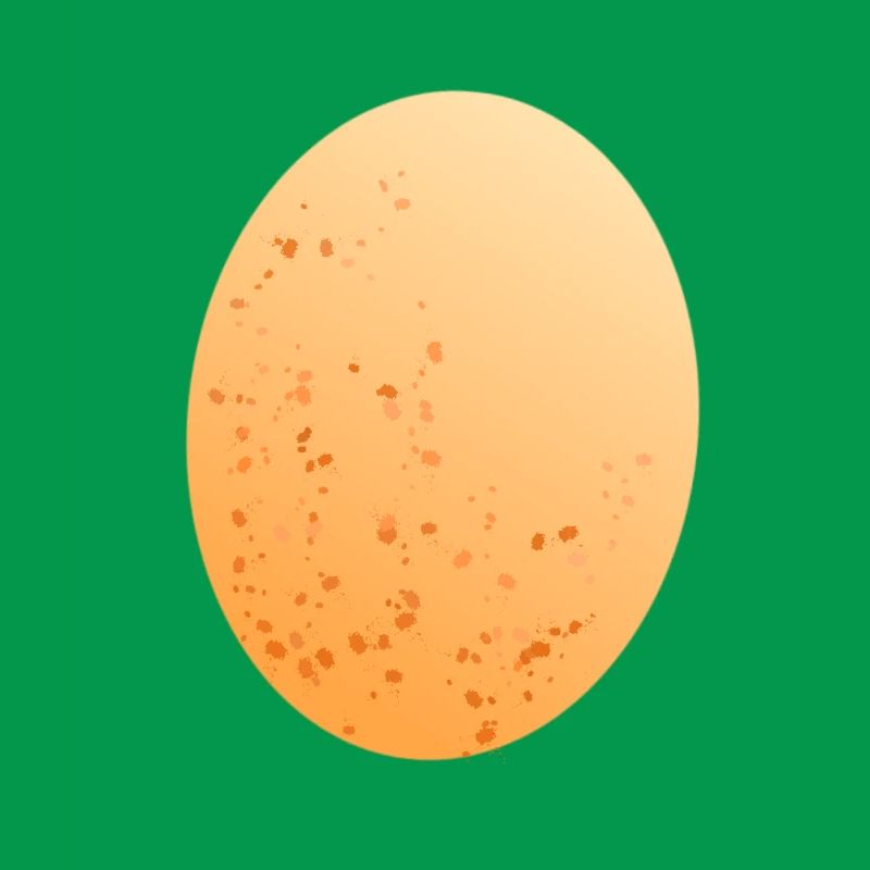 Egg chicken egg
