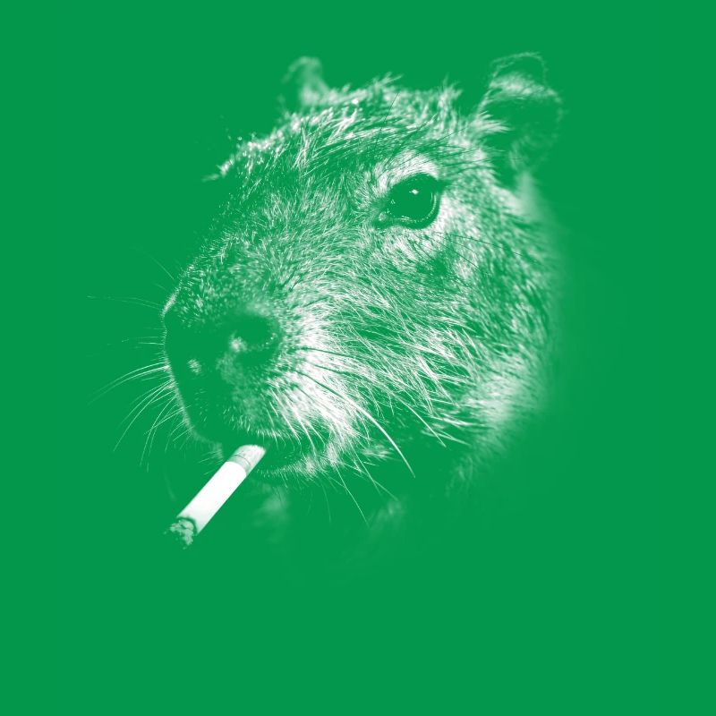 Rauchen, Zigarette, Capybara raucht eine Zigarette