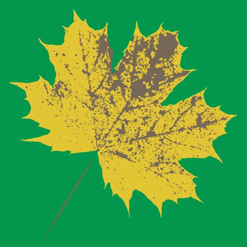 Yellow maple leaf