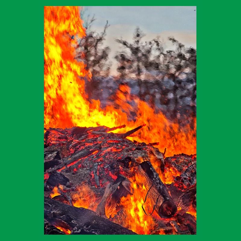 Fire & Flame Easter Fire Poster