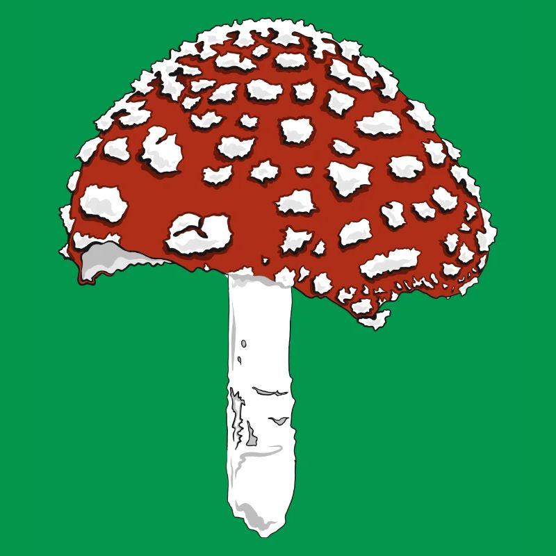 Toadstool toadstool amanita