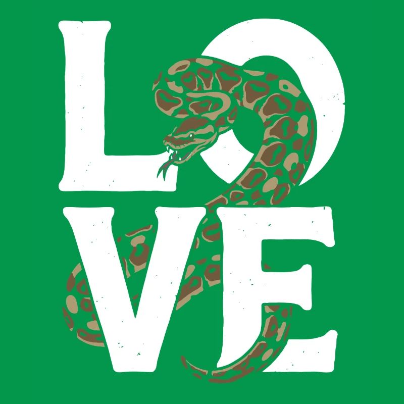 Königspython Schlangen LOVE Terrarium Python