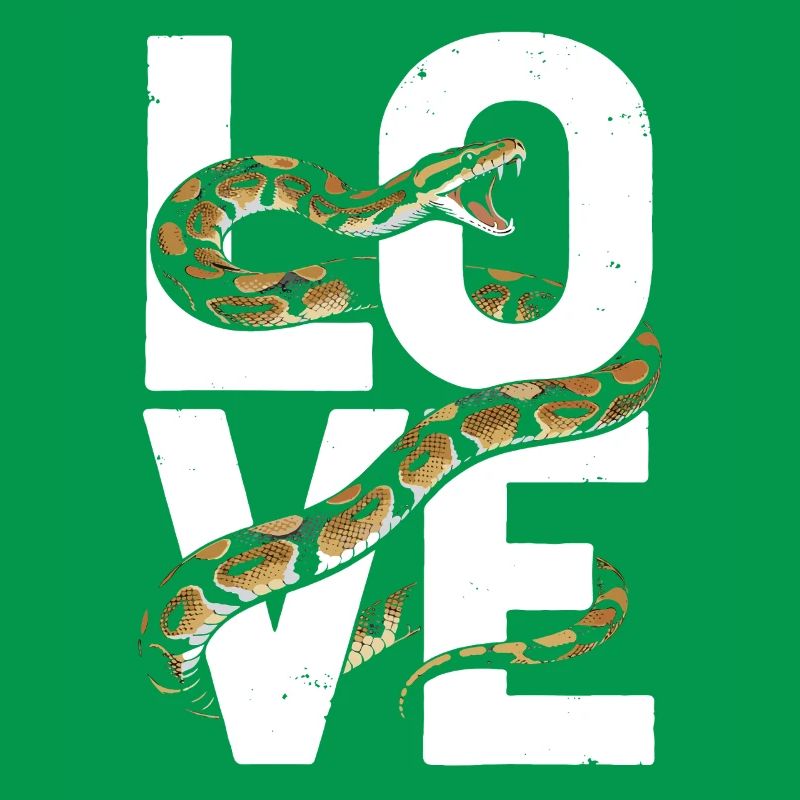 Königspython Schlangen LOVE Terrarium Python