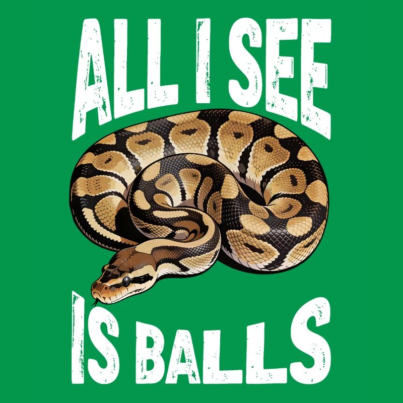 King Python Snakes Lover Terrarium Python