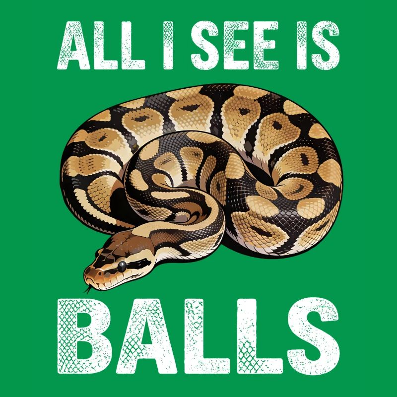 Königspython Schlangen Liebhaber Terrarium Python