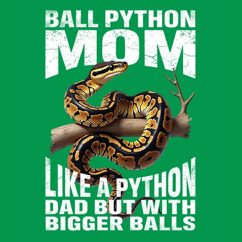 King Python Mom Mom Snakes Terrarium Python