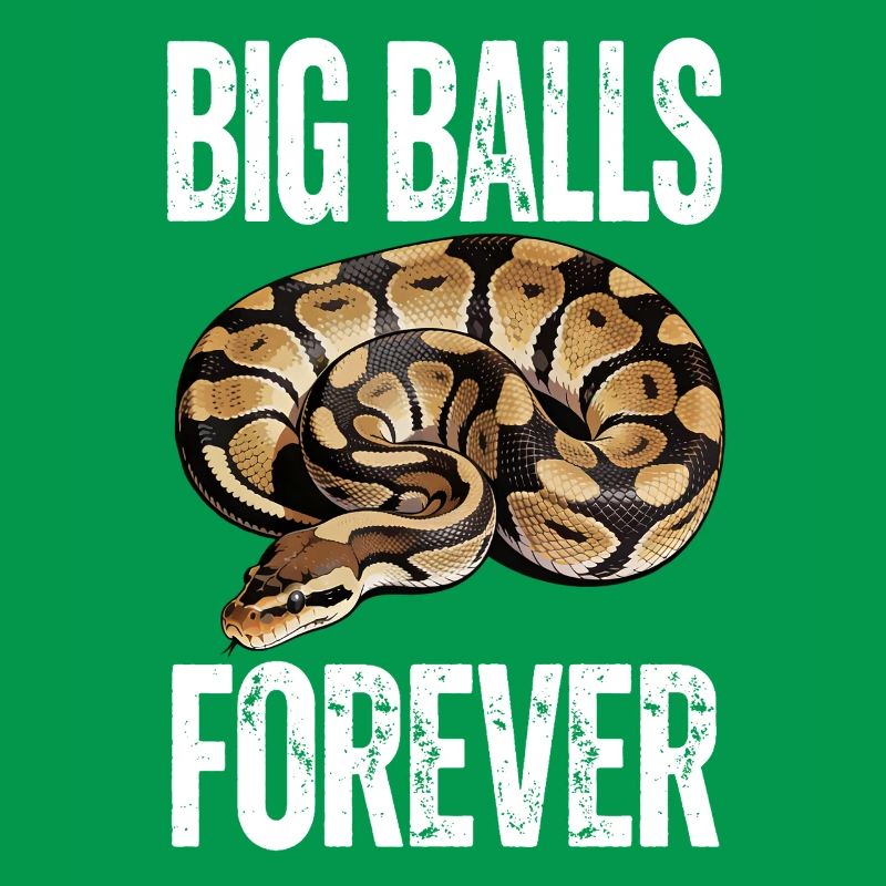 King Python Snakes Lover Terrarium Python