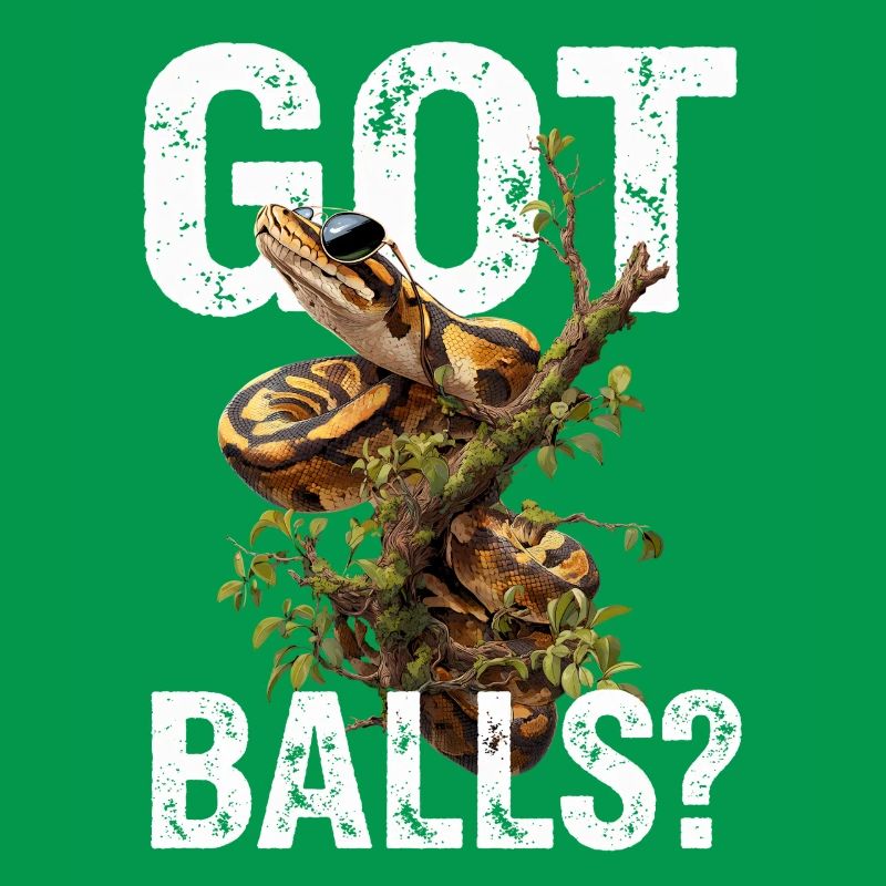 Python roi Serpents Amateurs de terrarium Python