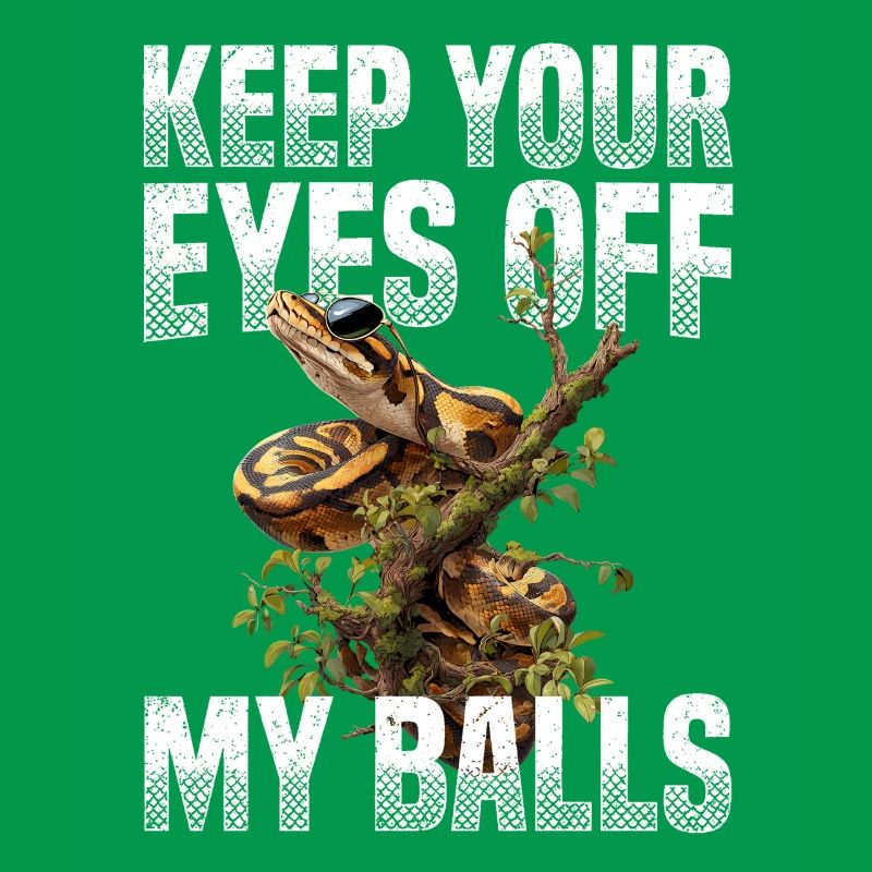 Königspython Schlangen Liebhaber Terrarium Python