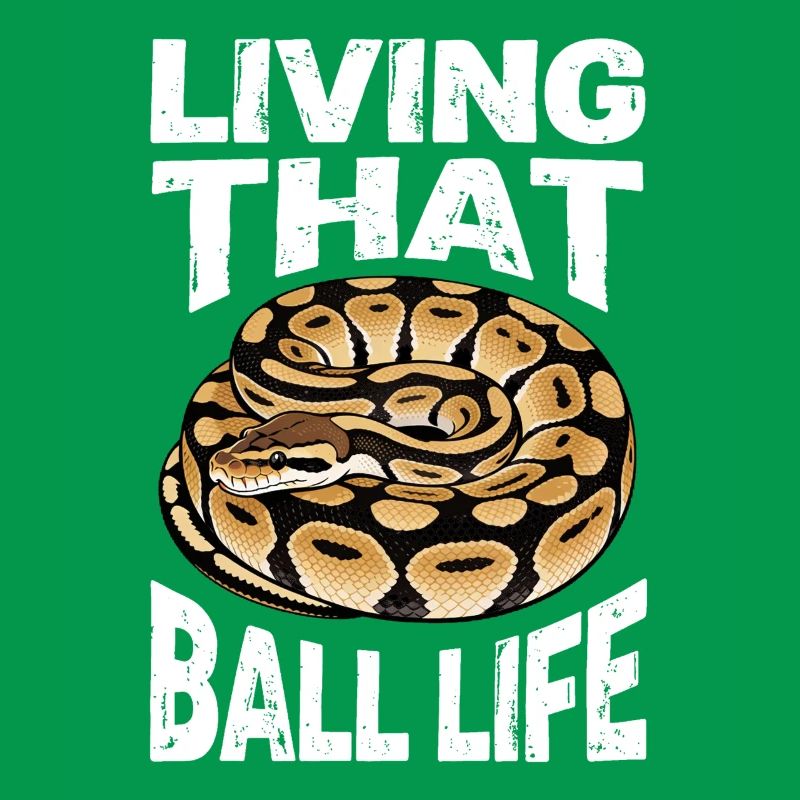 Python roi Serpents Amateurs de terrarium Python