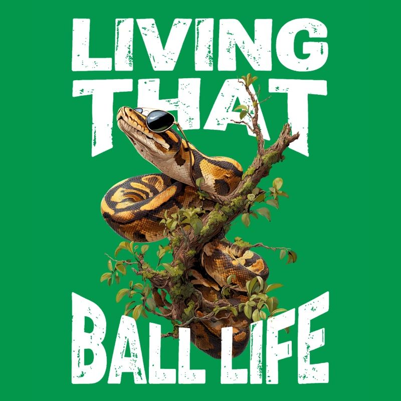 Python roi Serpents Amateurs de terrarium Python