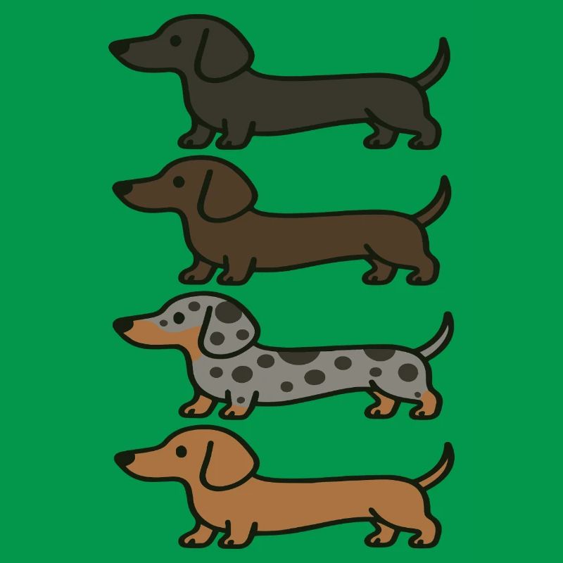 Variations de couleur de Teckel mignons