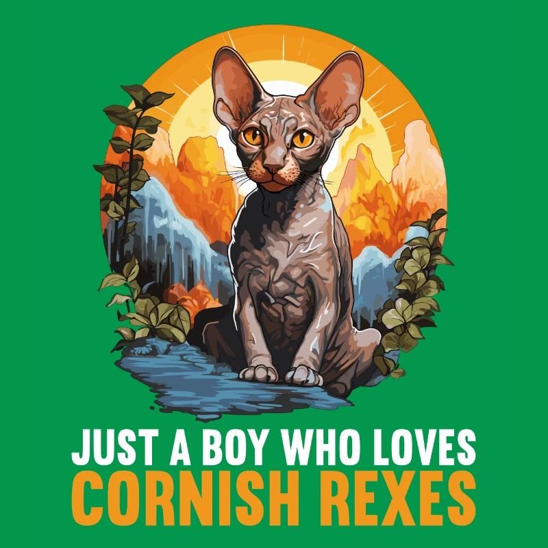 Chaton Cornish Rex Chat Cornish Rex