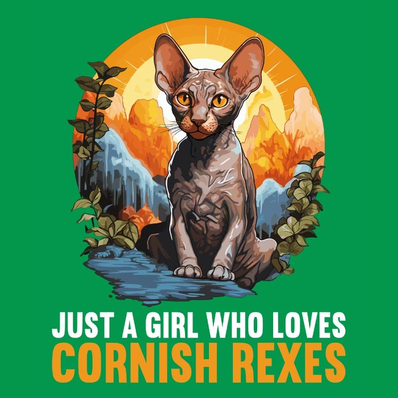 Cornish Rex Kätzchen Cornish Rex Katze