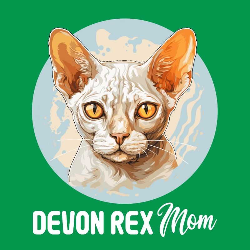 Chaton Devon Rex Chat Devon Rex