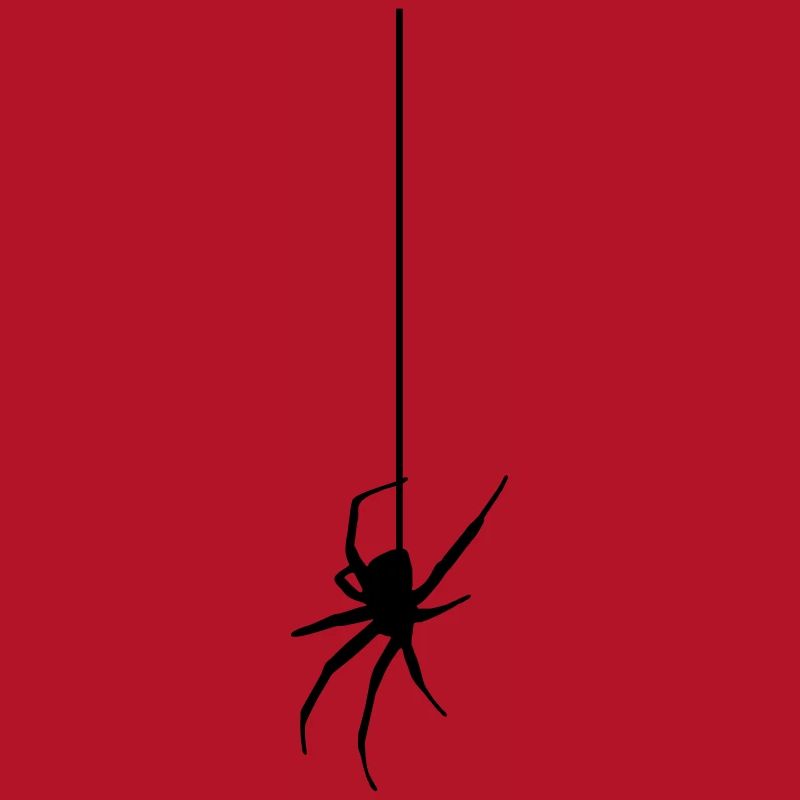 Spider on a thread