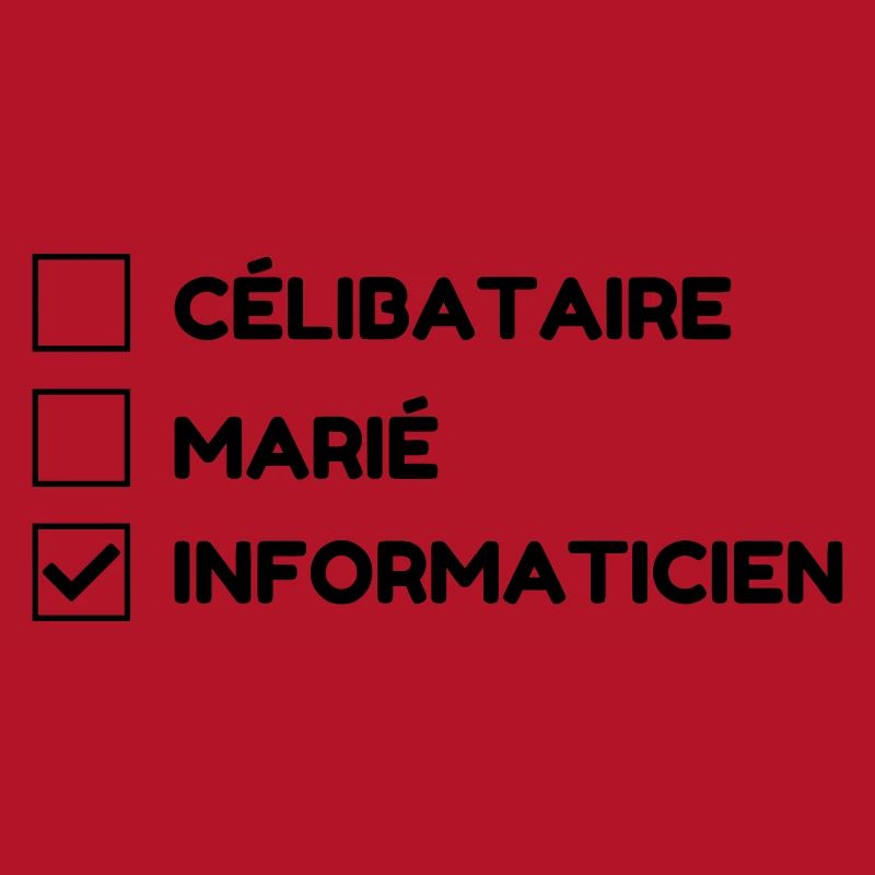 Computer Engineer Informatiker Informaticien