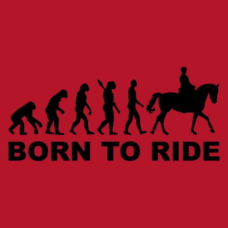 Évolution aller à cheval