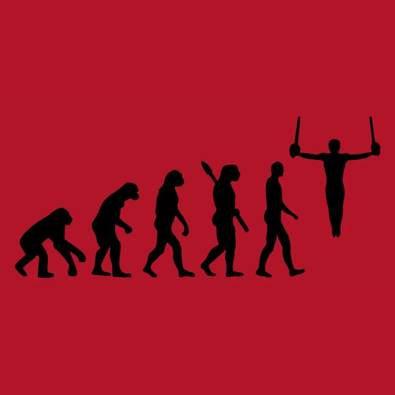 Évolution Gymnastique